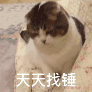 天天找锤QQ表情